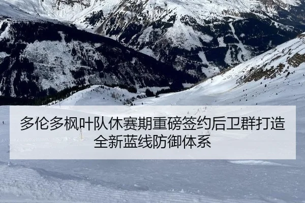 多伦多枫叶队休赛期重磅签约后卫群打造全新蓝线防御体系